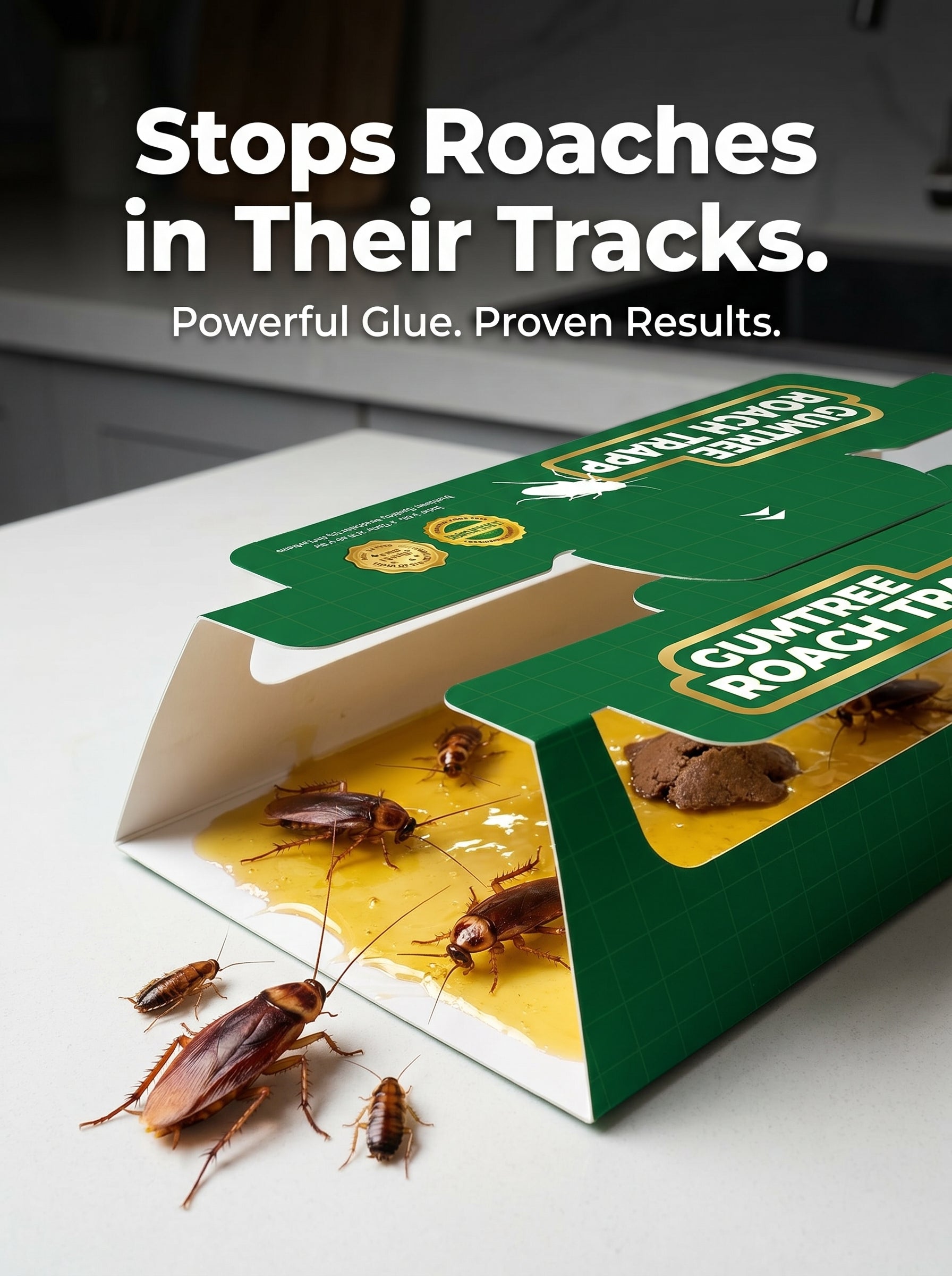 Roach Trap | Chemical-Free Cockroach Control