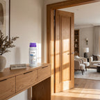 Anti-Termite Treatment | Professional Long-Lasting Termite Control