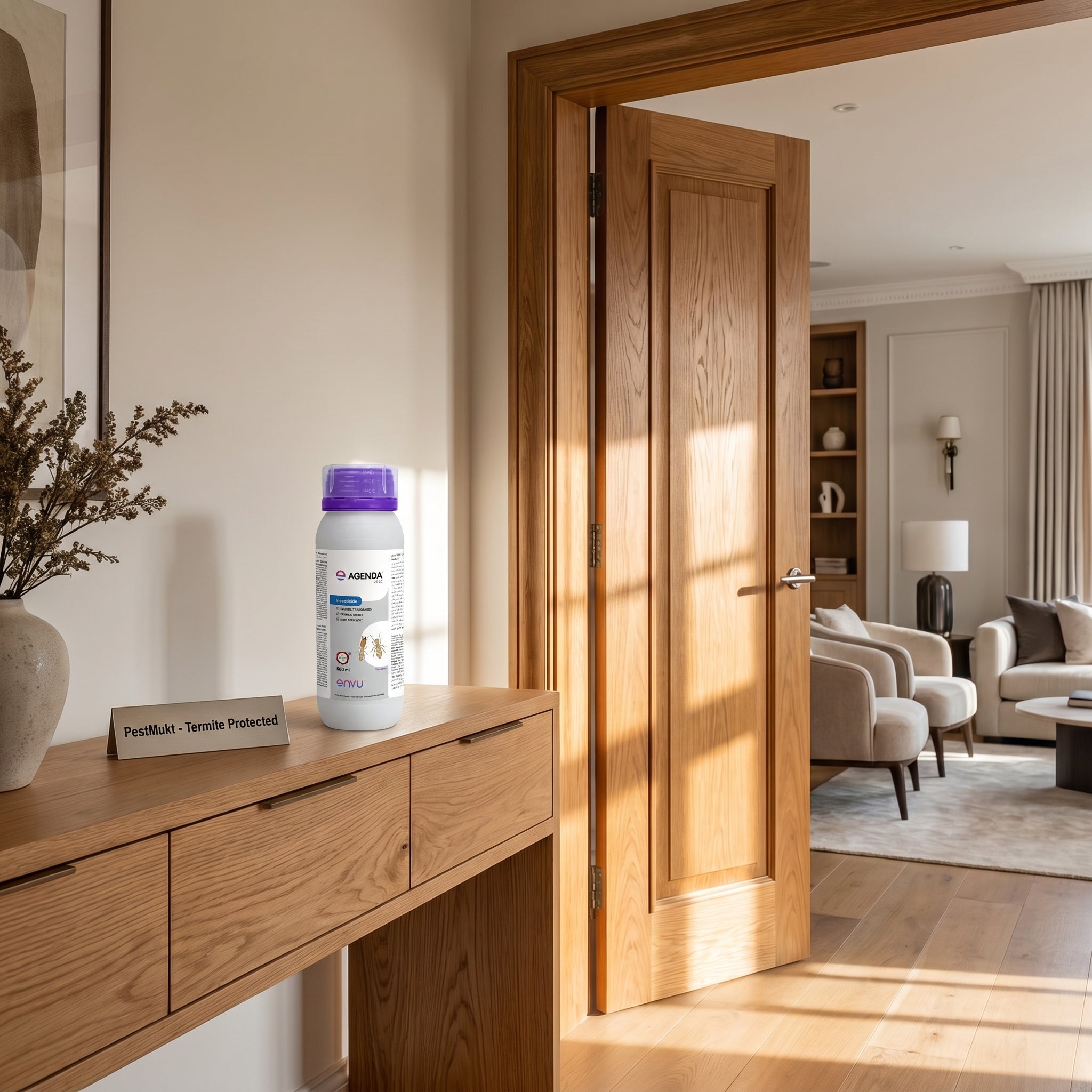 Anti-Termite Treatment | Professional Long-Lasting Termite Control