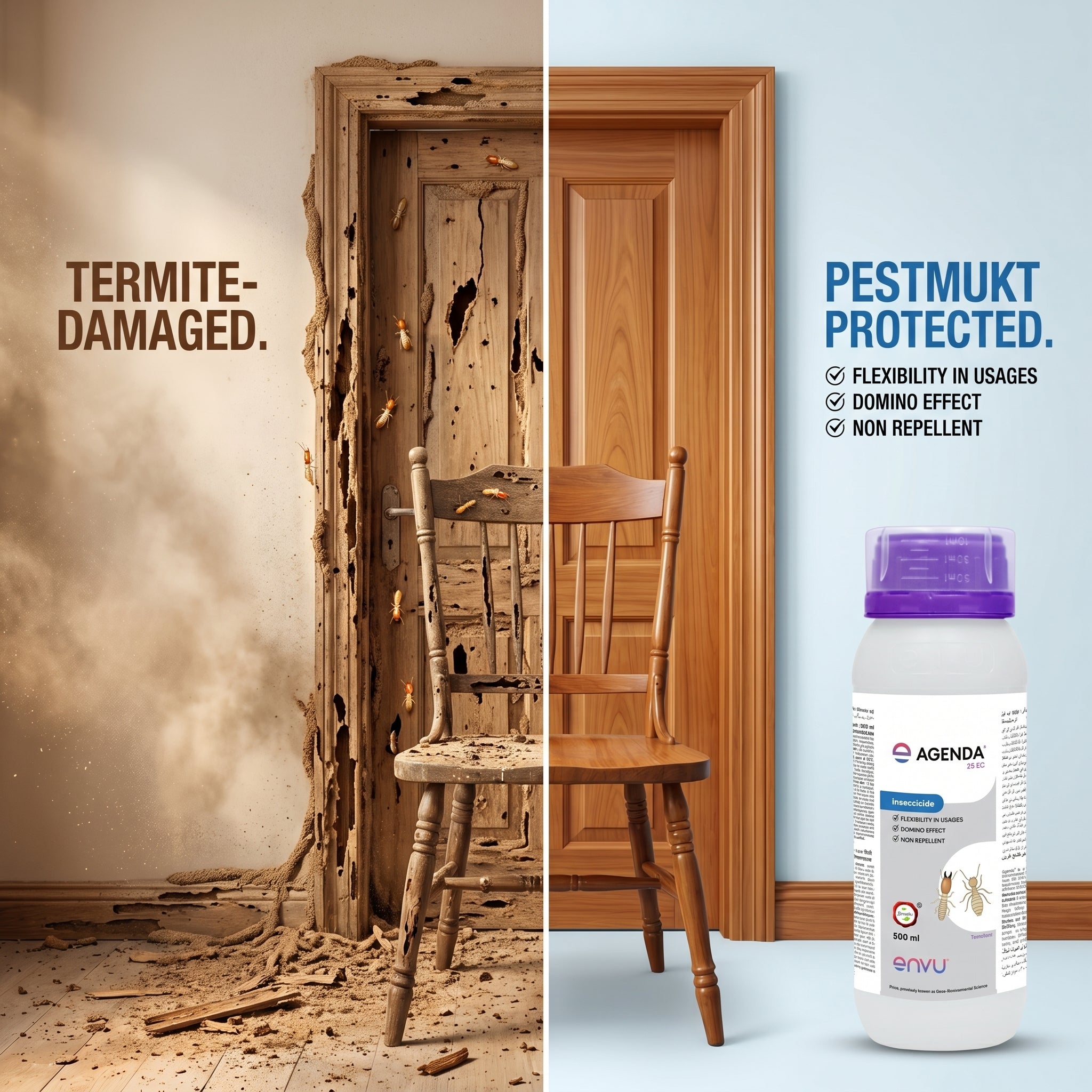 Anti-Termite Treatment | Professional Long-Lasting Termite Control