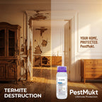 Anti-Termite Treatment | Professional Long-Lasting Termite Control